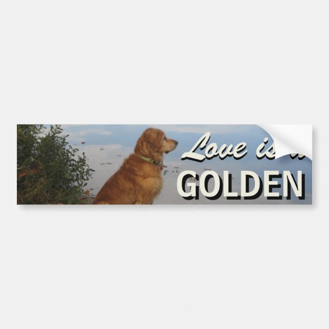 Adesivo Para Carro O amor é um golden retriever (Frente)