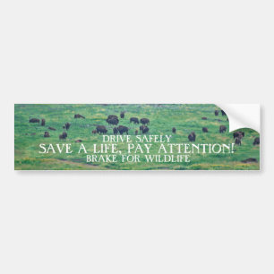 Adesivo Para Carro O Bison Americano
