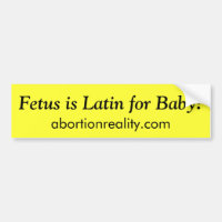 O feto é Latin para o bebê! , autocolante no vidro