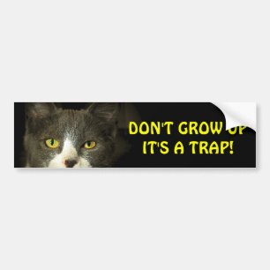 Adesivo Para Carro O gato abundante diz não cresce acima Meme