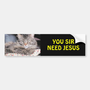 Adesivo Para Carro O gato abundante diz, você senhor Necessidade