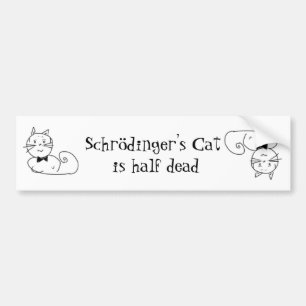 Adesivo Para Carro O gato de Schrödinger
