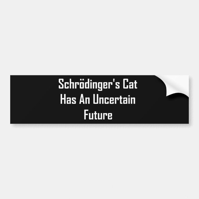Adesivo Para Carro O gato de Schrodinger tem um futuro incerto (Frente)