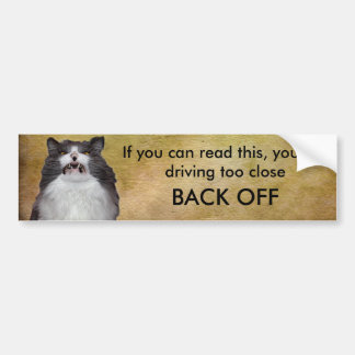 Adesivo Para Carro O gato mal-humorado desembaraça do modelo do