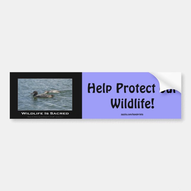 Adesivo Para Carro Ofertas Inspiracionais Loons (Frente)