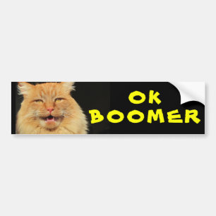 Adesivo Para Carro OK BOOMER Engraçado Memória de Gato