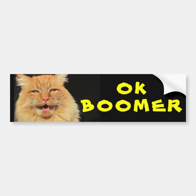 Adesivo Para Carro OK BOOMER Engraçado Memória de Gato (Frente)
