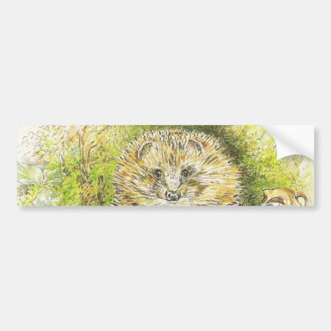 Adesivo Para Carro Old Mr Prickly Pin (Hedgehog) (por Beatrix Potter) (Frente)