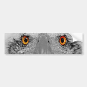 Adesivo Para Carro Olhe em meus olhos