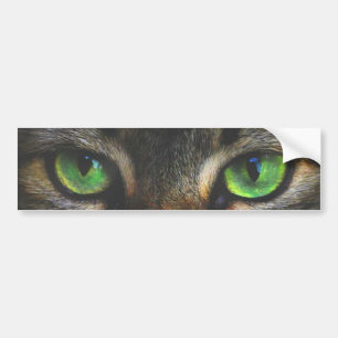 Adesivo Para Carro Olhos de gato tabby bonitos