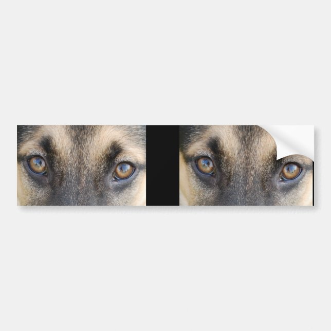 Adesivo Para Carro Olhos de german shepherd (Frente)