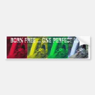 Adesivo Para Carro OPL Rasta colore o autocolante no vidro traseiro