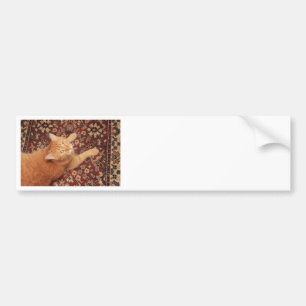 Adesivo Para Carro Orange Tabby