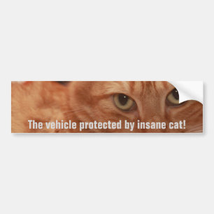 Adesivo Para Carro Orange Tabby