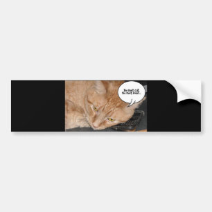 Adesivo Para Carro Orange Tabby Cat Humor/Telefone Celular
