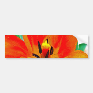 Adesivo Para Carro Orange Tulip
