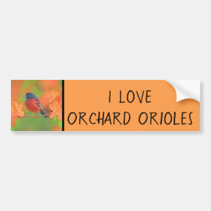 Adesivo Para Carro Orchard Oriole Songbird Pintura Original