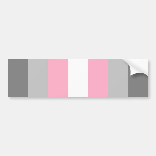 Adesivo Para Carro Orgulho Demigirl (Frente)