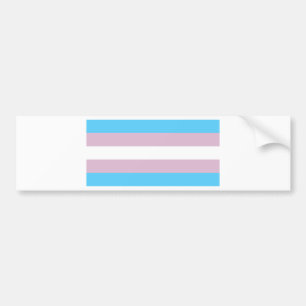 Adesivo Para Carro Orgulho do Transgender