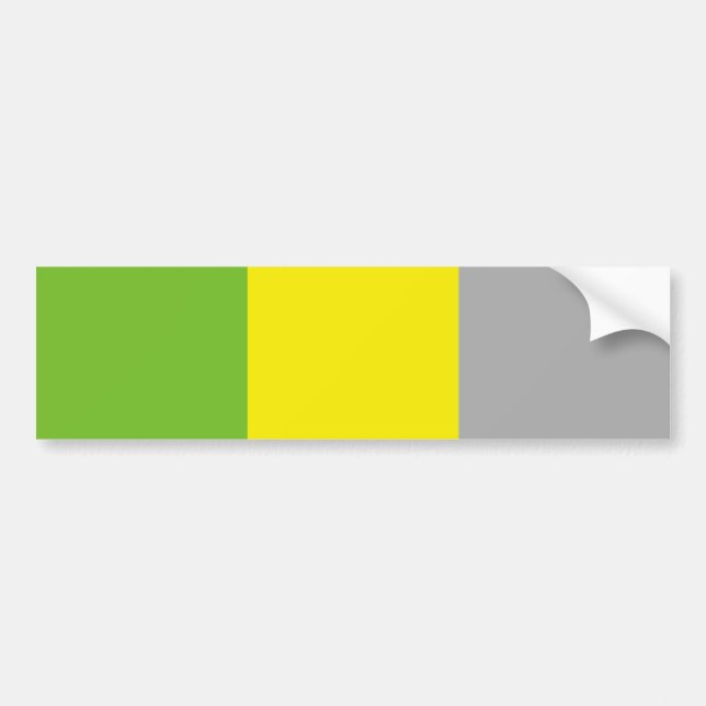 Adesivo Para Carro Orgulho Lítromântico (Frente)