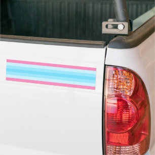 Adesivo Para Carro Orgulho Transmasculino