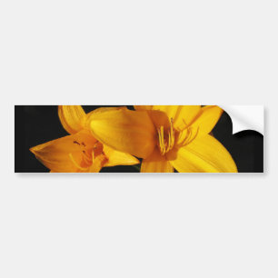 Adesivo Para Carro Orquídea amarela