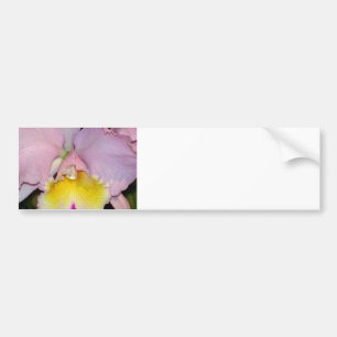 Adesivo Para Carro Orquídea primavera