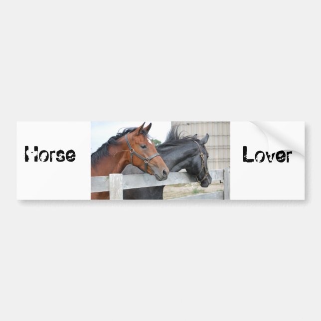 Adesivo Para Carro Os Cavalos Amantes (Frente)