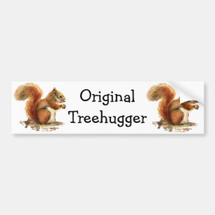 Adesivo Para Carro Os esquilos são o humor original de Treehuggers