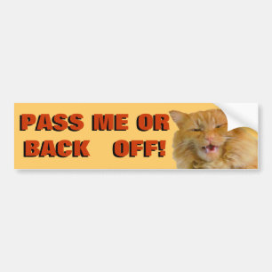 Adesivo Para Carro Os gritos da abóbora "desembaraçam" do gato Meme