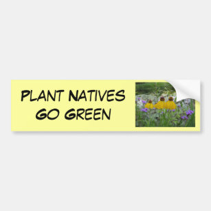 Adesivo Para Carro Os nativos da planta vão Verbena verde