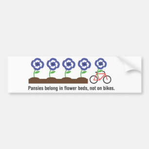 Adesivo Para Carro Os Pansies pertencem em camas de flor, não em