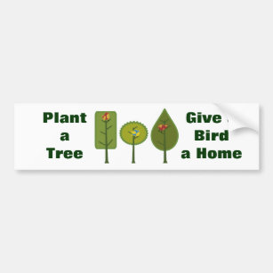 Adesivo Para Carro Os pássaros plantam uma árvore
