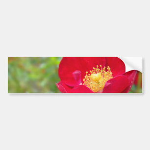 Adesivo Para Carro Os rosas são autocolante no vidro traseiro