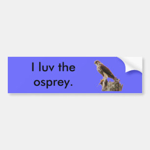 Adesivo Para Carro Osprey 2