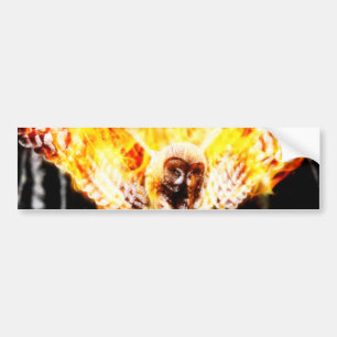Adesivo Para Carro Owl Phoenix