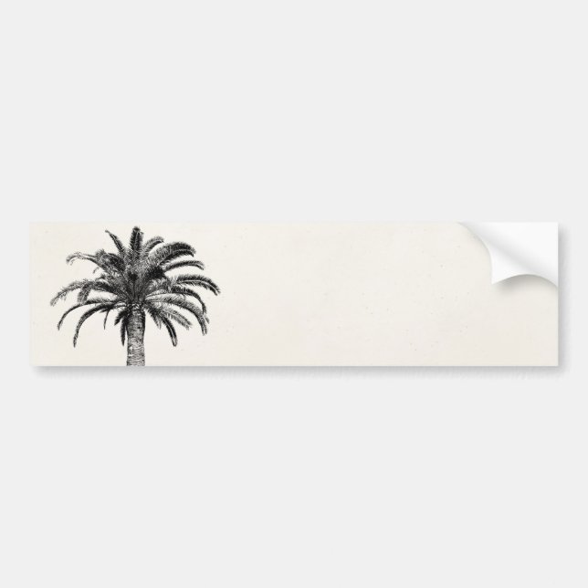 Adesivo Para Carro Palmeira tropical retro da ilha em preto e branco (Frente)
