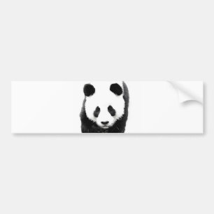 Adesivo Para Carro Panda