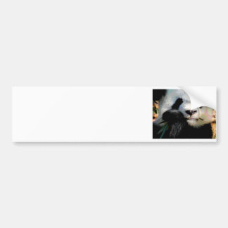Adesivo Para Carro Panda com fome