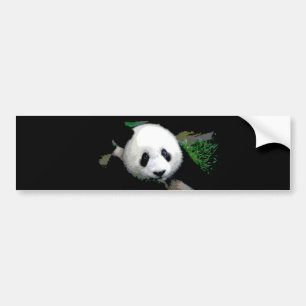 Adesivo Para Carro Panda Pop Art