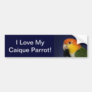 Adesivo Para Carro Papagaio colorido do Caique