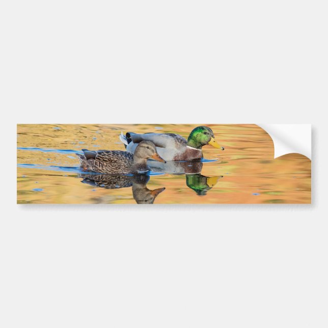 Adesivo Para Carro Par de Mallards (Frente)
