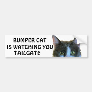 Adesivo Para Carro Pára-choque Cat está assistindo Meme TAILGATE 28