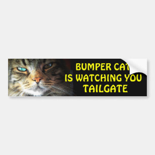 Adesivo Para Carro Pára-choque Cat está assistindo TAILGATE 2.5