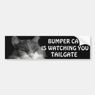 Adesivo Para Carro Pára-choque Cat está assistindo TAILGATE 36 Meme