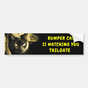 Adesivo Para Carro Pára-choque Cat está assistindo TAILGATE 44