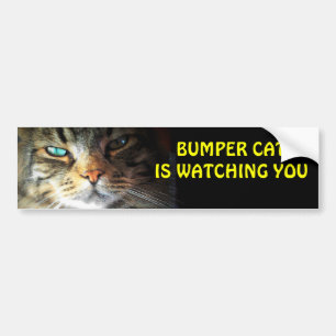 Adesivo Para Carro Pára-choque Cat está te observando 4