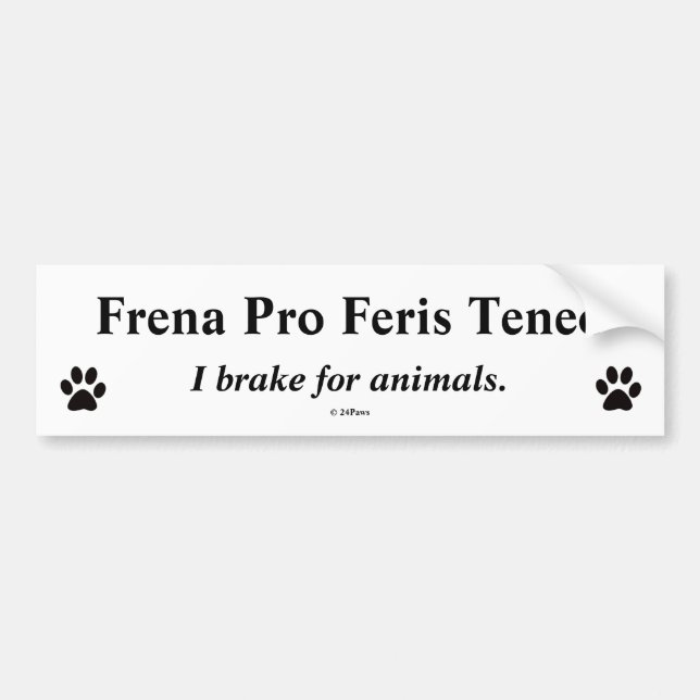 Adesivo Para Carro Pára-choque Latin traduzido - Frena pro Feris (Frente)