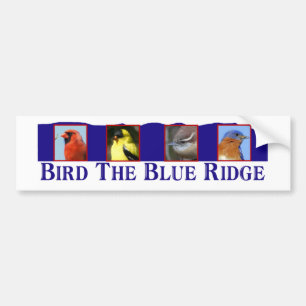 Adesivo Para Carro Pássaro o Ridge azul