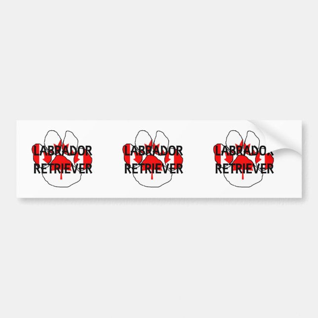 Adesivo Para Carro Pata flg de nome LR (Frente)